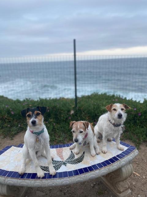 Beachfront Condo W Pools Steps To Beach & Mins To Dt Rosarito Exteriör bild